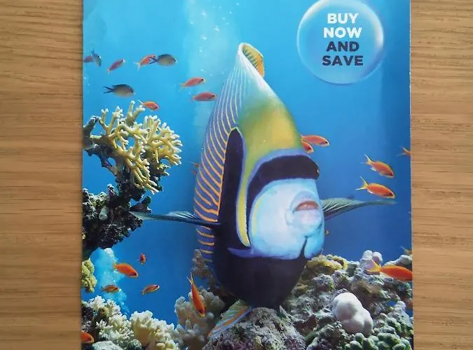 Апартаменты Viola Рапалло